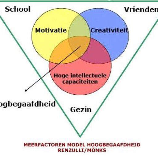 Hoogbegaafd test is geen IQ test. Het is een samengestelde test batterij, die alle facetten van hoogbegaafd test. IQ meet alleen WAIS of WISC.